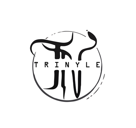 Projet de création de mon propre logo du nom de Trinyle